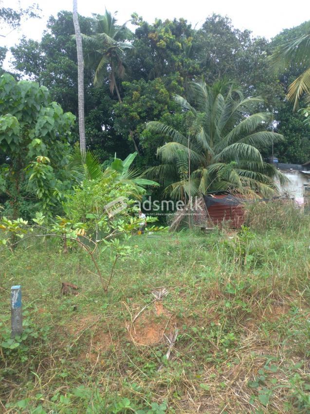 11.15 Perches Land for Sale