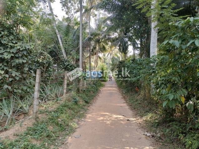 Land For Sale In Katana