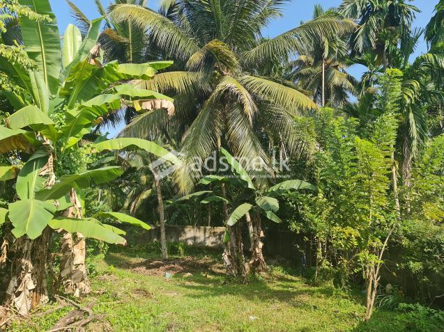 Residential Land with field view near Athurugiriya Highway enterance