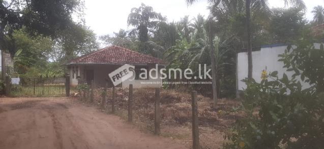 High value Commercial Land For Sale - Kuliyapitiya