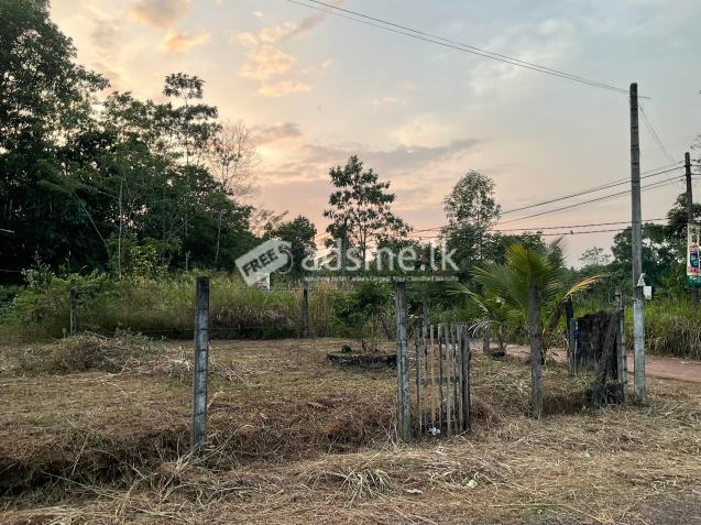 Residential Land for sale in Bandaragama Kindelpitiya Welmilla junction