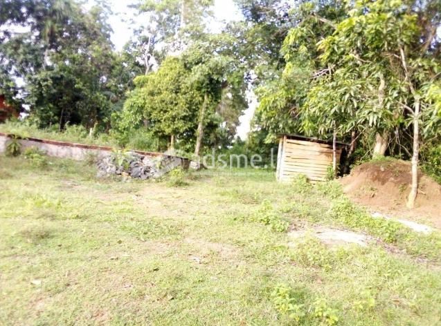Land for sale (perches 15)