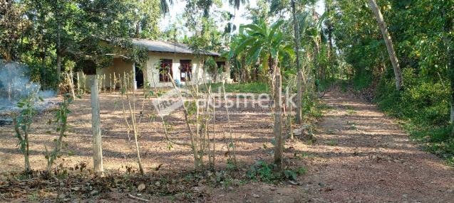Land for sale in Kidelpitiya, Bandaragama