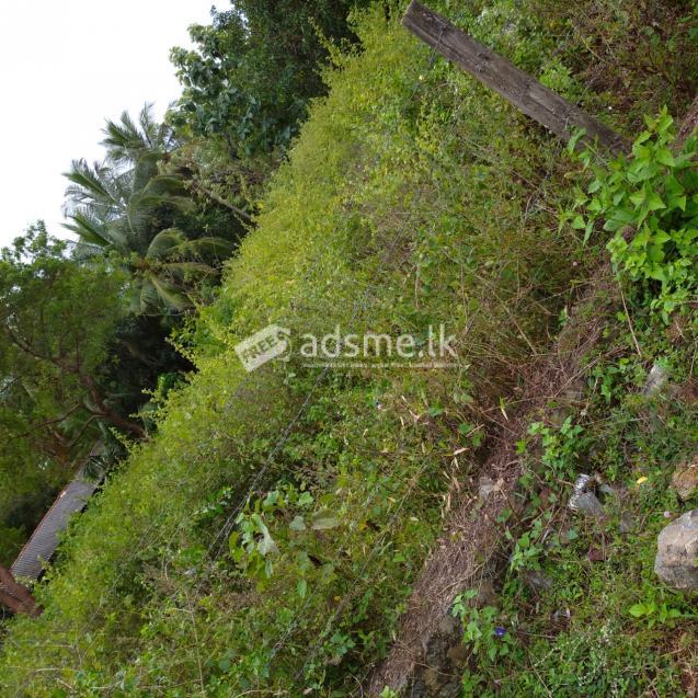 Land for Sale in Katharagama