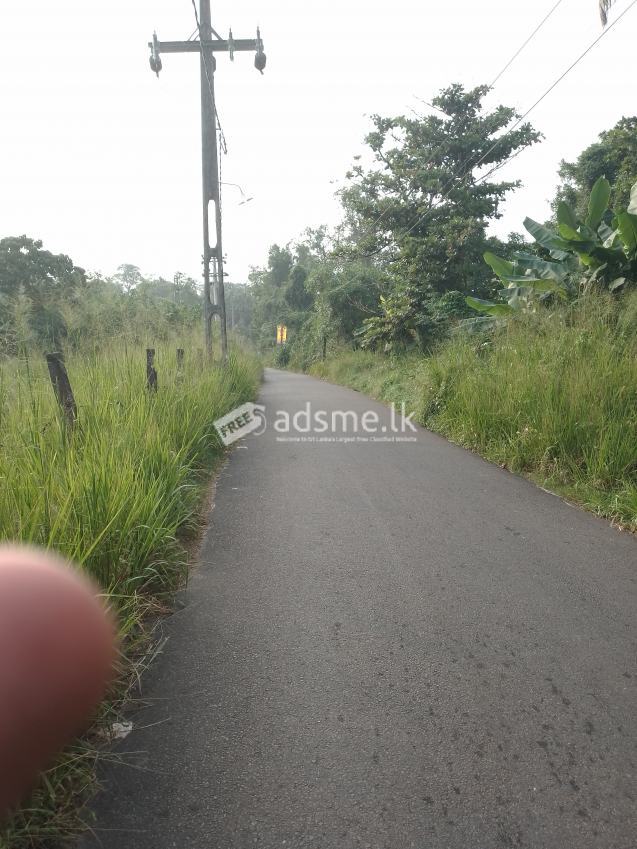 Valuable Land For Sale