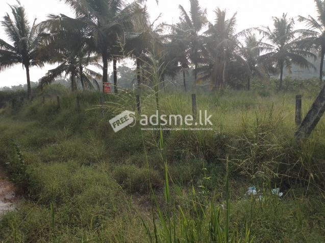 Valuable Land For Sale