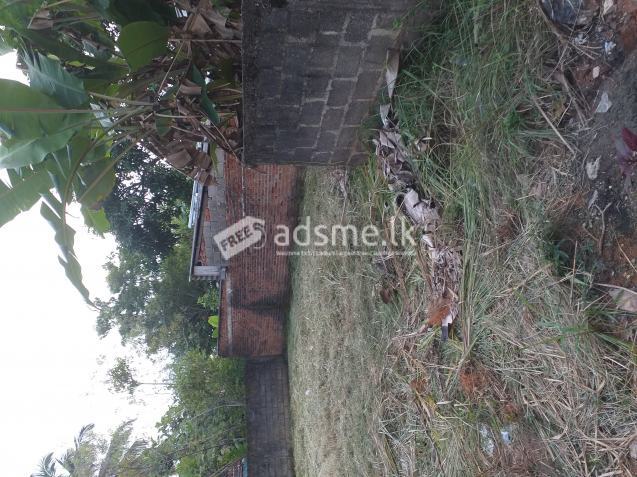 Land for sale in negombo