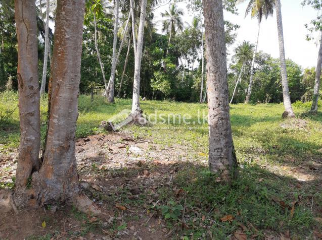 Land for sale