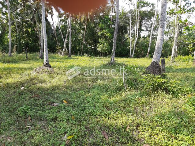 Land for sale