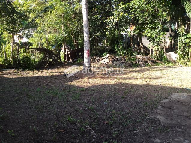 Land for sale (120 bus route)