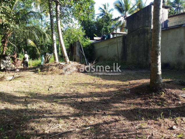 Land for sale (120 bus route)