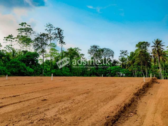 Land for Sale in Panadura