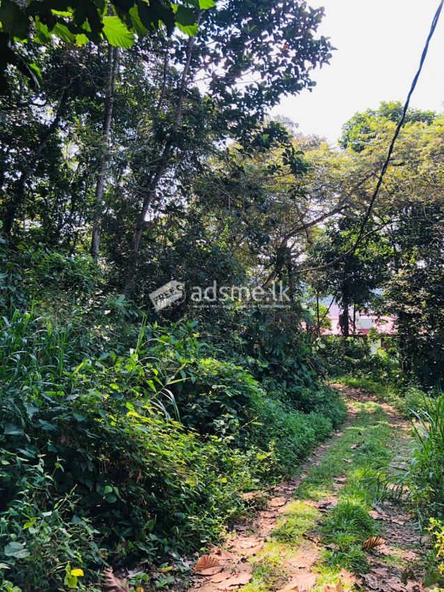 Land for Sale in Horana Town