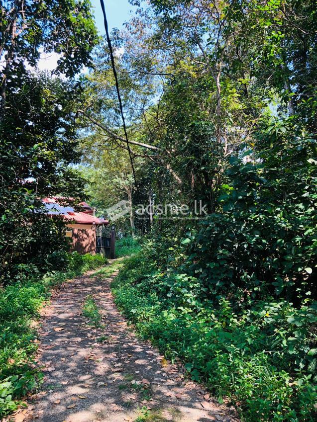 Land for Sale in Horana Town