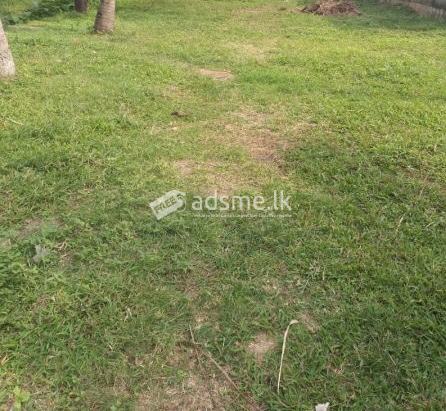 Land for sale in Galle