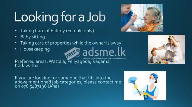 Looking for Job - Babysitting/Housekeeping/Caretaker
