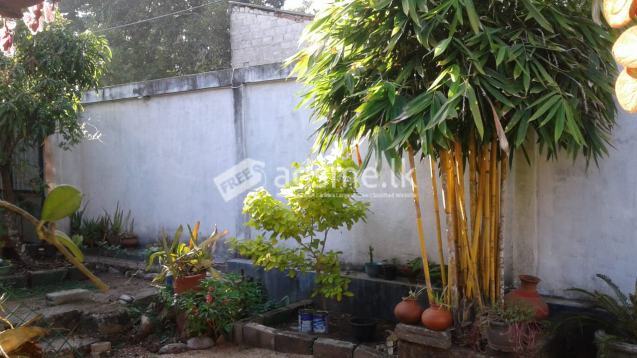 Immediate house sell in Gampaha, Naiwala