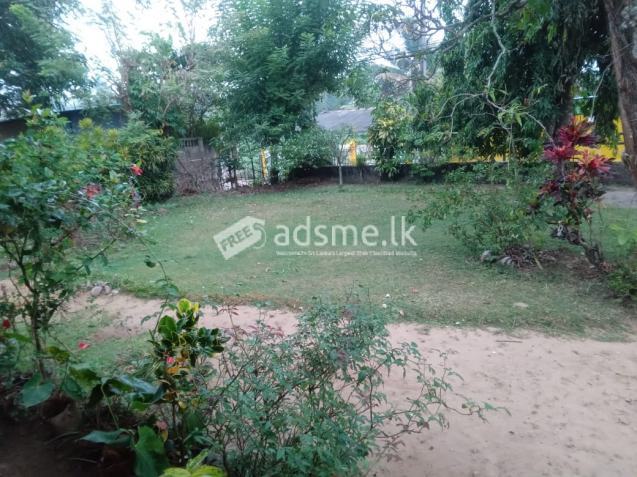 Excellent Commercial / Residential land for sale in Panadura