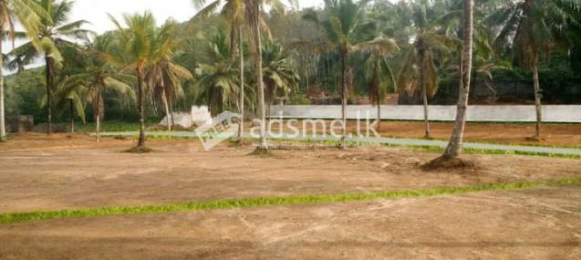 Residential Land for Sale Colombo Padukka