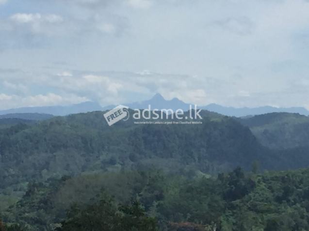 Land for sale in Bulathsinghala