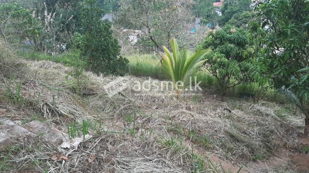 Pahingamuwa River view garden land for sale