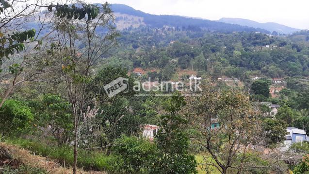 Pahingamuwa River view garden land for sale