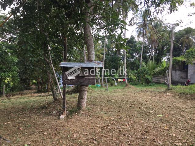 Land for sale in Dewalapola