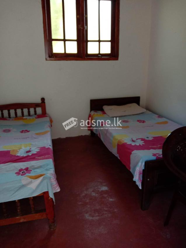 Room for rent in rathmalana