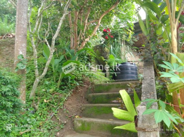 A two-story house is available for sale in Kandy area.