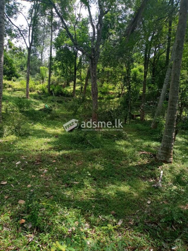 A land for sale in Kandy, Marassana area