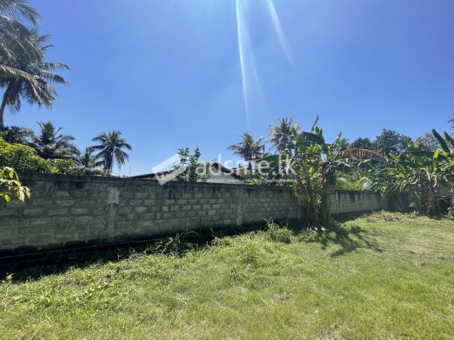 Land For Sale in Wattala
