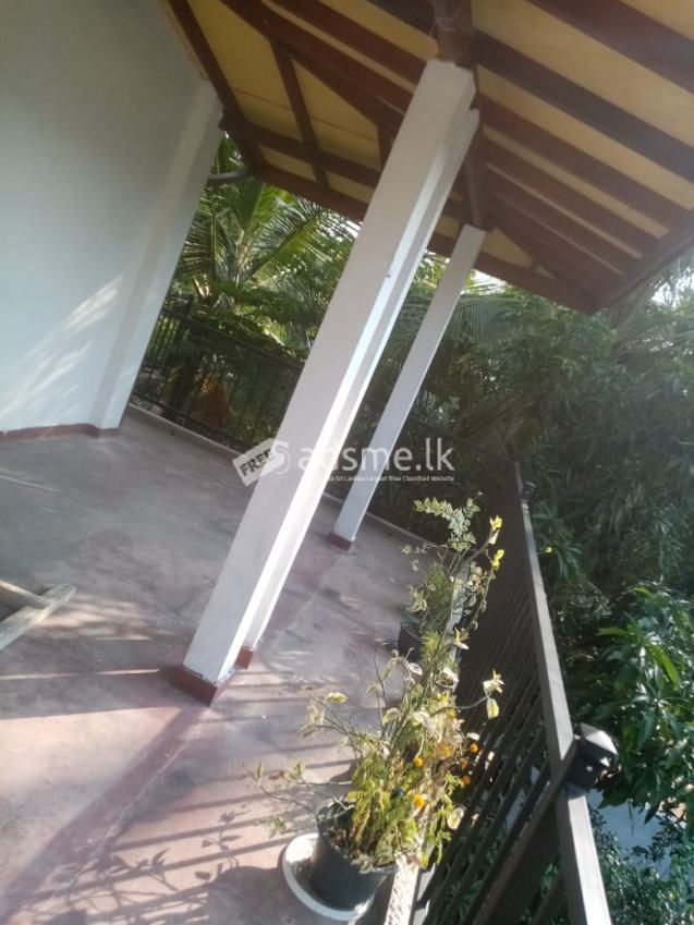 House For Rent (Upstair) In Udupila