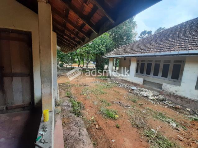 To Lease or Sell a Colonial House and Property at Warakagoda (Horana)
