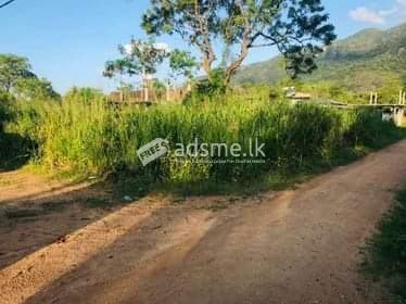 A valuable land for sale in Dambulla