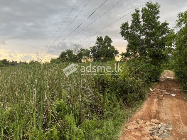 Land for sale in Matara Nadugala