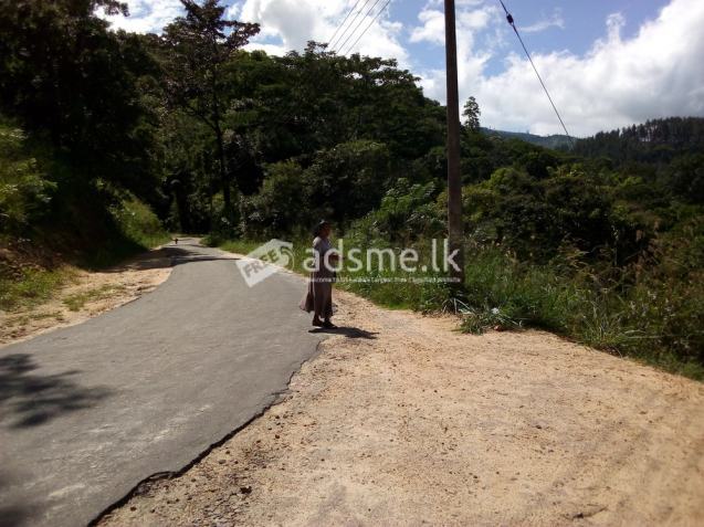 bare land for sale in rattota (beside matale-ilukkumbura road)