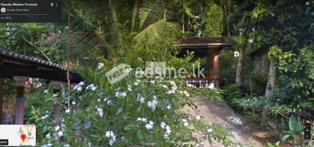 House for rent in Pasyala