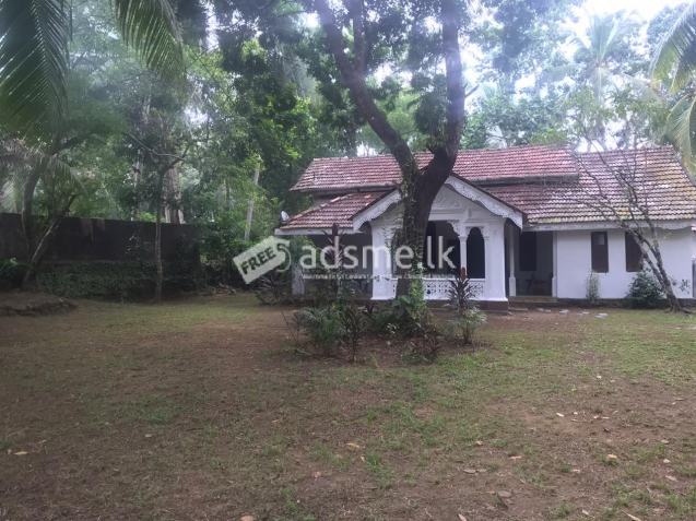 House with 43 perch land is for rent in Bandaragama :Also  Suitable for business purpose, Restaurant, Wedding Reception Place, Ayurvedic Center etc.