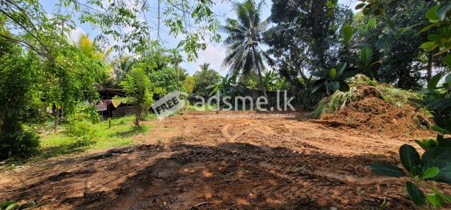 Bare Land for Sale in Thalagala