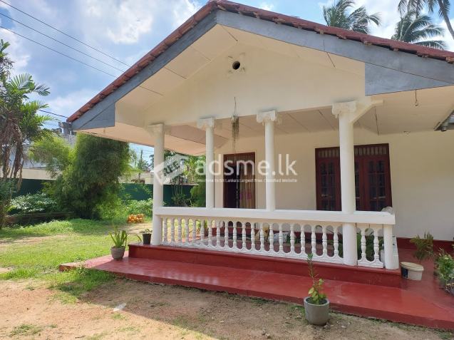 House and garden for Rent long period to Restaurant