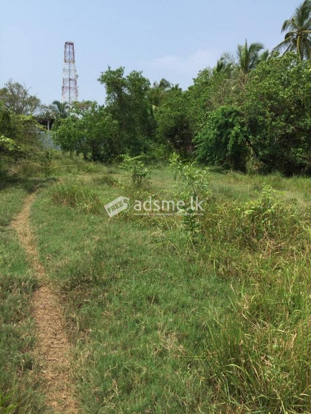 Chilaw Land For Sale