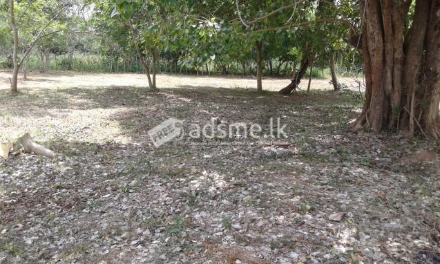 Anuradhapura Nuwarawewa lake waterfront land for sale