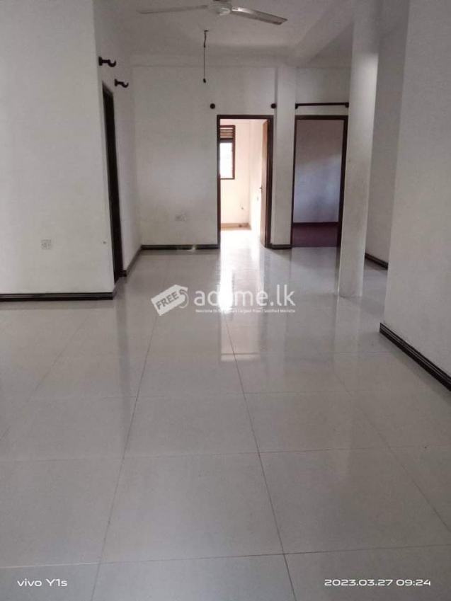 Newly built house for rent(Either ground ir fisrt floor)