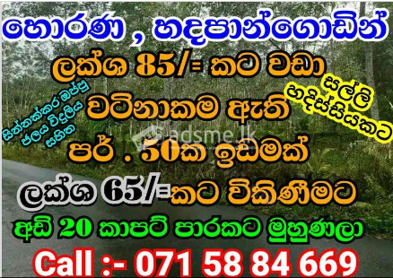 Horana, 50 P cultivated land for sale face to carpet road