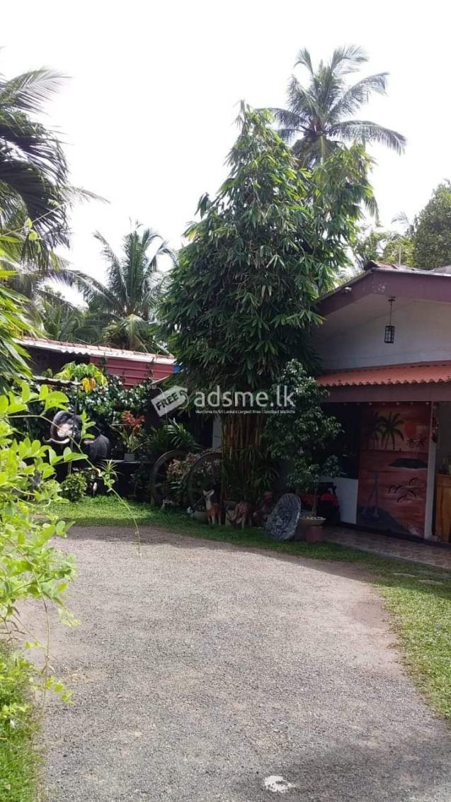 Uswetakeyyawa a Guest house of 9 rooms and 12 P land for sale