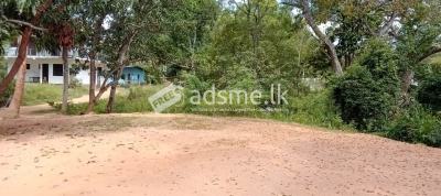 Holiday Bungalow with Land for Sale in Kataragama
