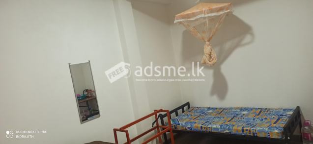Room Rent for study/Working girl at Siddamulla