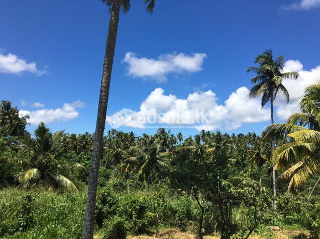 Prime 30-Acre Land for Sale in Matara Kekenadura: An Exceptional Investment Opportunity!