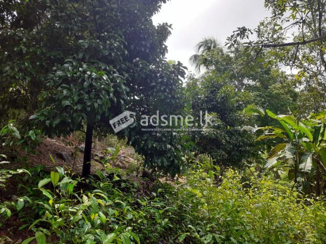 Padukka, Handapangoda 155 Perches land for sale for Vila
