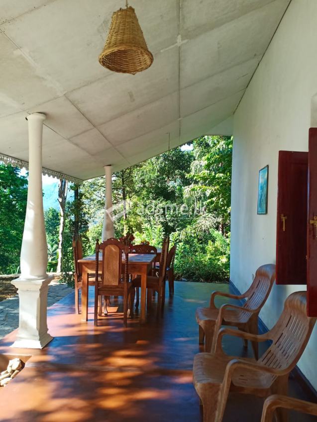 Kithulgala bungalow house for rent
